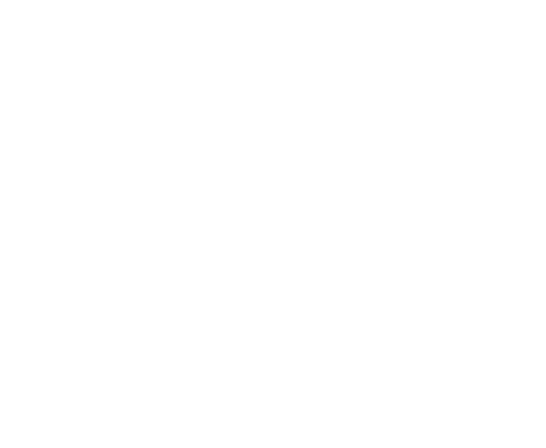 pitstop consulting logo weiss min.png