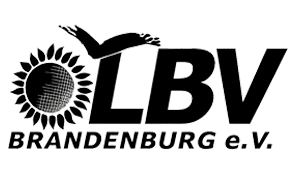 lbv